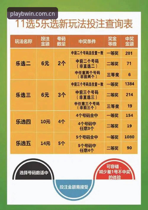 资深用户分享必赢体育投注安全使用心得，探索娱乐新体验